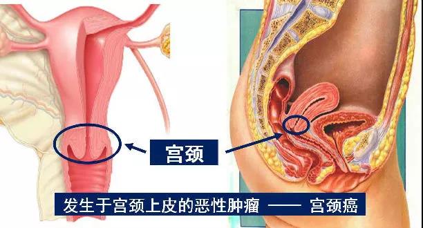 微信图片_20180723183735