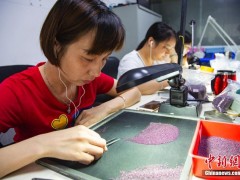 7月24日，广西一珠宝商城内，工人正在仔细挑选石榴石。据店老板廖木彬称，其手下员工每天需要从数十万颗宝石当中筛选出2万颗合格品。为完成任务，其手下每名员工都练就了一双“火眼金睛”。自1982年创立第一家校办工厂起，广西梧州市的宝石产业经过30多年的发展，目前已发展到人工宝石年加工、集散、交易数量超过1000亿粒，年产值32亿元人民币的规模，被誉为“世界人工宝石之都”。 中新社记者 陈冠言 摄