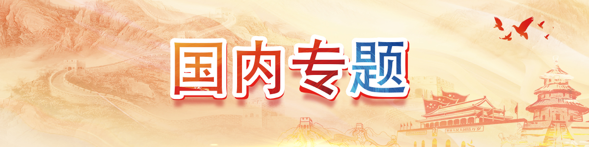 国内专题