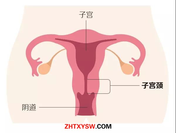 微信图片_20180919215721