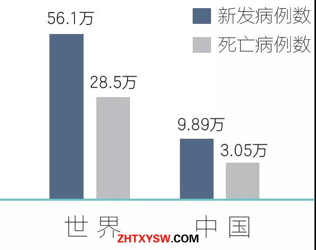 微信图片_20180919215743