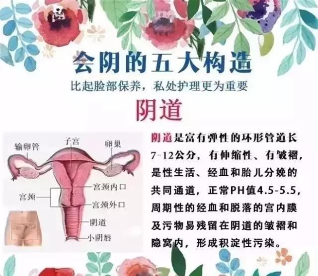 微信图片_20180922153809