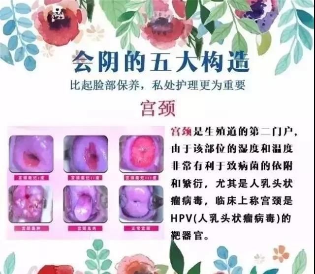 微信图片_20180922153805