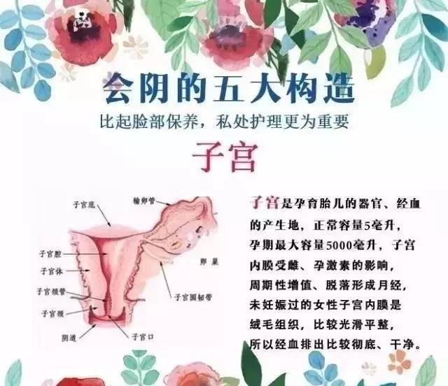 微信图片_20180922153802