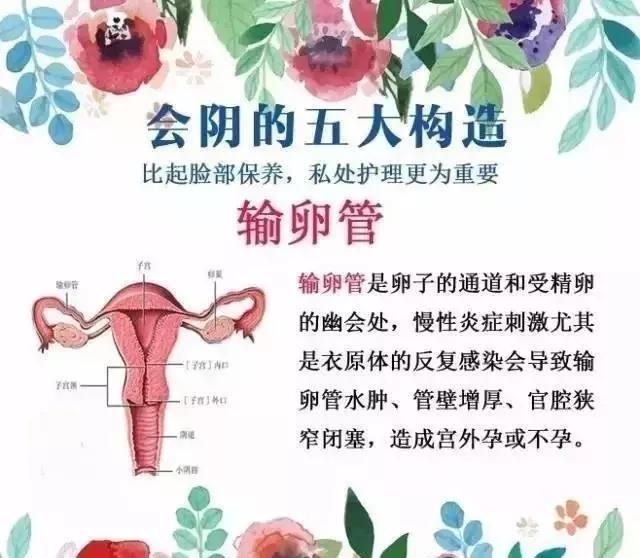 微信图片_20180922153758