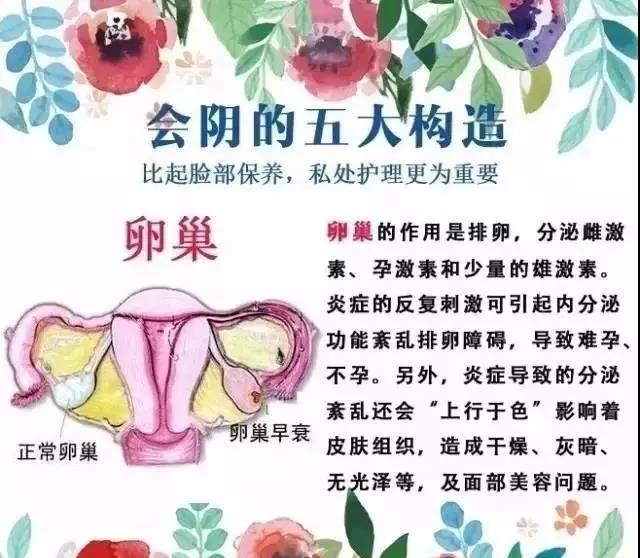微信图片_20180922153745