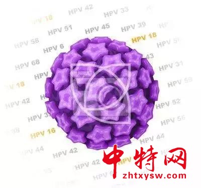 微信图片_20181028094007