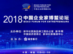 2018年12月会议关注中国企业家博鳌论坛