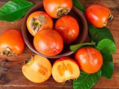 柿子

柿子是秋冬季节非常常见的保健水果，此果味甘涩、性平，具有生津解渴，开胃消食，促进消化的作用，我们闲事可以当零食吃两个，能够起到减肥瘦身、美白护肤的功效。

胃和心，总要有一个是满的。所以，全世界的迷茫和忧伤都可以用美食去抵挡！世间万物，唯有美食与爱，不可辜负。携所爱之人，赴一场美食之约。