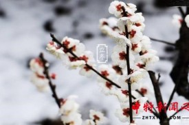 立冬节气的来临，养生宜温补