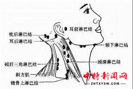 微信图片_20190113144549