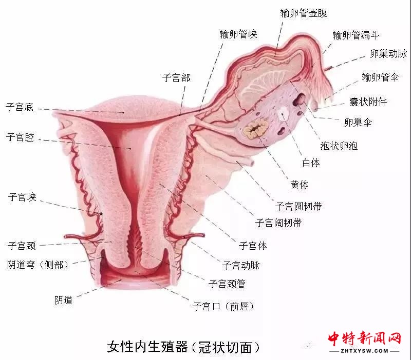 微信图片_20190115104054
